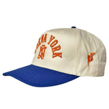 AMAZING ÑY ARC 5 PANEL CAP