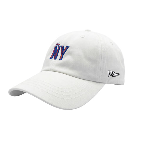 ÑY is NUEVA YORK DAD HAT
